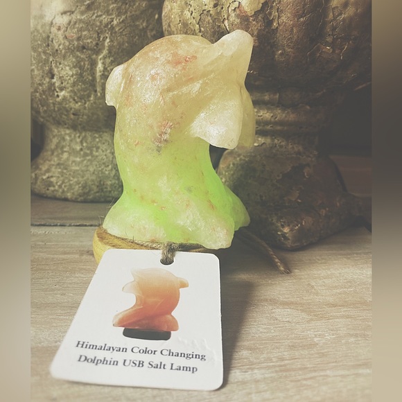 Himalayan Salt Dolphin Lamp - Picture 8 of 10